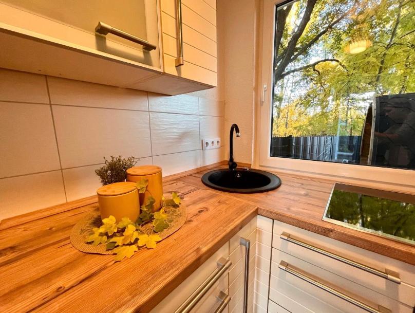Ferienhaus Harzblick 마이스도르프 외부 사진
